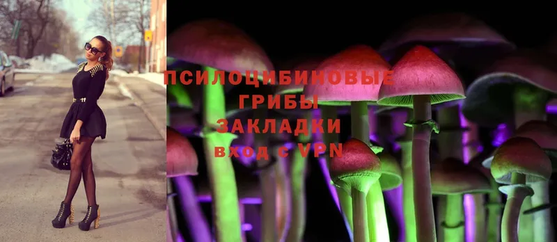 Галлюциногенные грибы Magic Shrooms  kraken   darknet официальный сайт  Егорьевск 